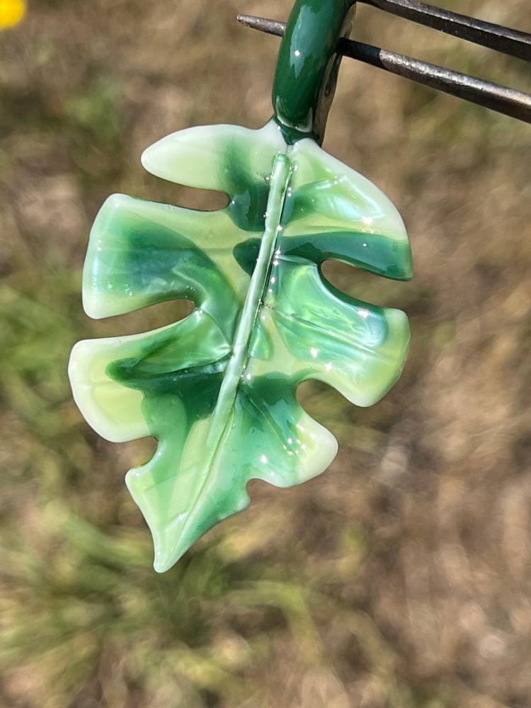 Image of Varigated Monstera Leaf Pendant 6