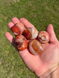 Image 1 of Carnelian Polished Agate 5 Piece Lot #2230