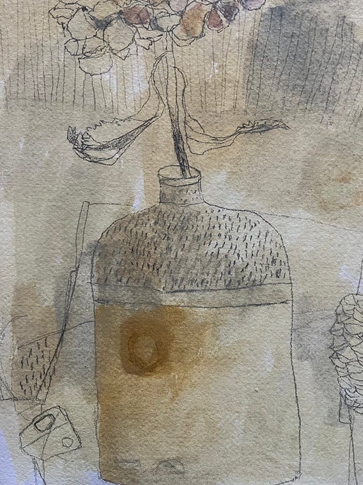 Image of Winter hydrangea. 