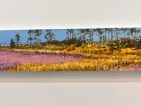 Image 3 of Coastal View- Bruce Peeso