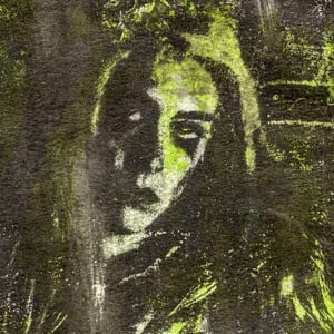 Image of “Portrait in Puke”