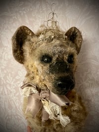 Image 2 of Holly the Hyena