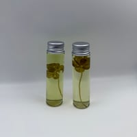 Image 2 of 5-Leaf Clover (Trifolium repens) Wet Specimen 