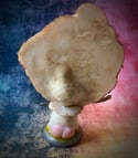Embryo