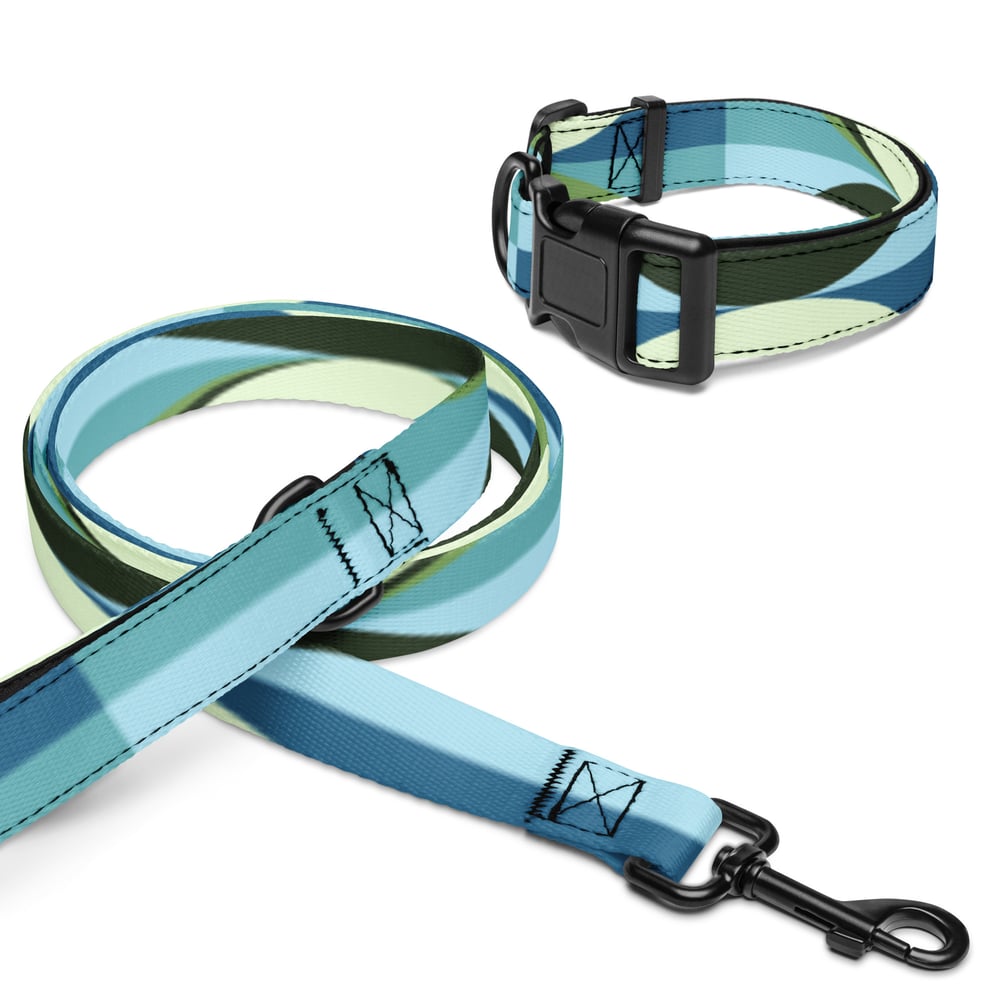 Image of Pet collar & leash Blue Ice