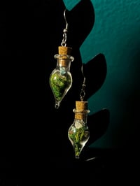 Image 3 of Oddity Jar Earrings