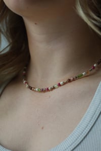 Image 2 of Blush and Bark 