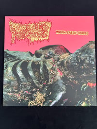 Image 1 of PURULENT REMAINS -“Worm-Eaten Corpse”