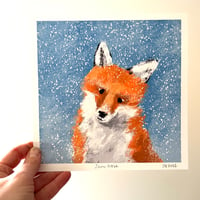 Image 1 of Snow Nose - Archive Quality Print