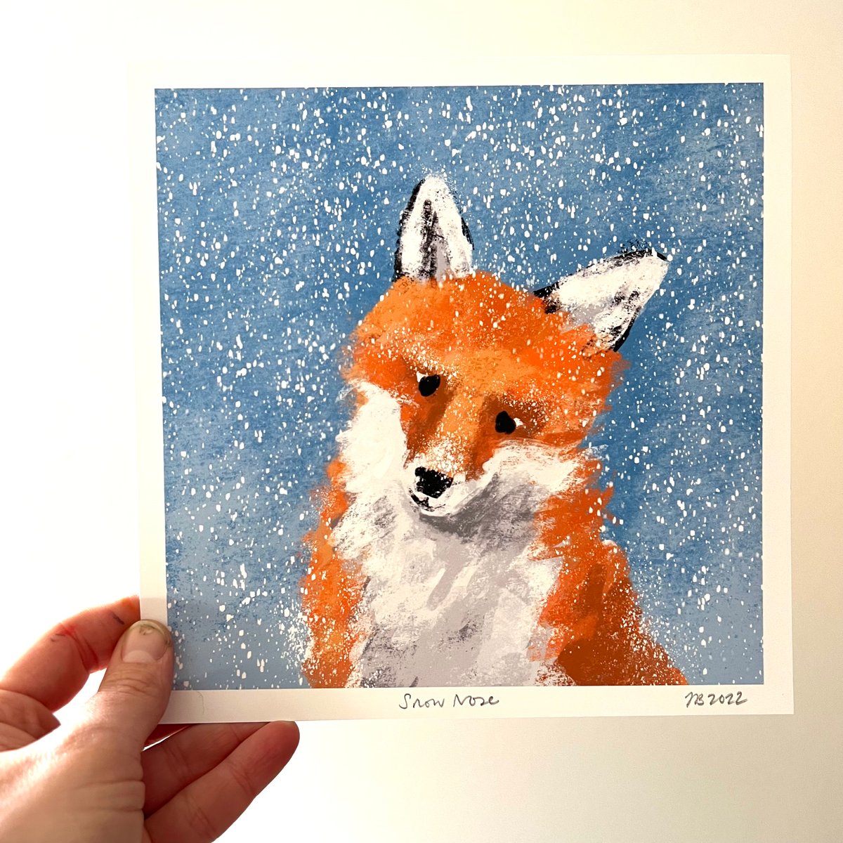 Image of Snow Nose - Archive Quality Print
