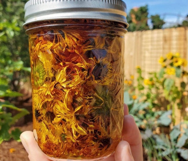 Organic Calendula Salve 55 grams