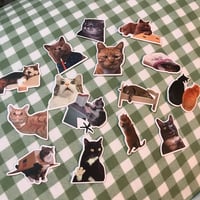 Image 1 of Cat stickers 