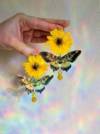Image 4 of 🌼🦋Daisy Buckeye Butterflies🦋🌼