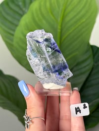 Image 1 of BLUE HALITES -TURKEY- LOT 2