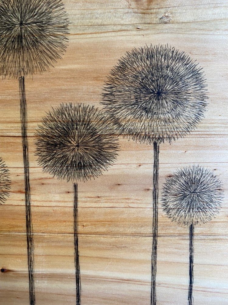 Image of Dandelions (#1), 10” x 10.”