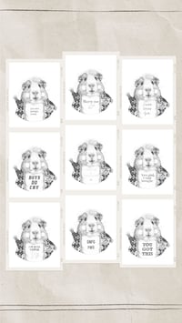 Image 2 of TED TALKS