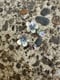 Image of Sakura Abalone Dangle Earrings