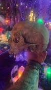 Real Human Skull 1