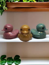 Image 1 of Set of 3 Resin Art OlllllO Ducks Ceramic Coated with Ducking Cards 'The Gremlin'
