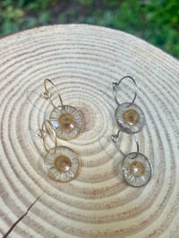 Image 2 of Little Sunshine Hoop Earrings 