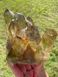 Image 7 of Smoky Citrine Points Cluster #1877