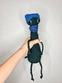 Image 5 of Loopy black cat