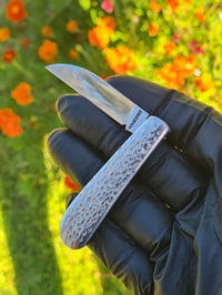 Image 2 of stainless wharncliffe 