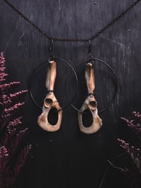 Image 4 of pelvic hoops (can be earrings for non-sensitive ears)