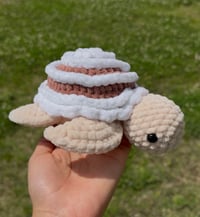 Image 2 of Cinnamon Roll Turtle 