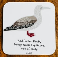 Image 4 of Red-footed Booby - No.126 - UK Birding Series