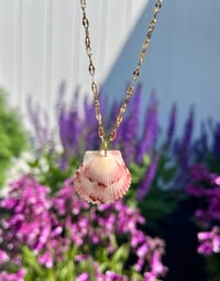 Image 1 of Scallop Shell Necklace N187