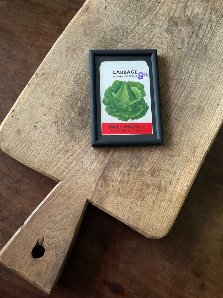 Image of Cabbage (flower of spring)