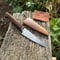 Image of 110mm Paring Knife AEB-L Myall