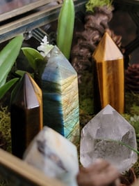 Image 5 of Crystal Garden Terrarium