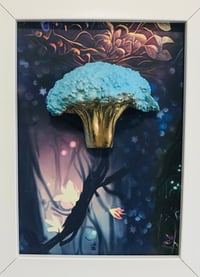 Zeus Broccoli 