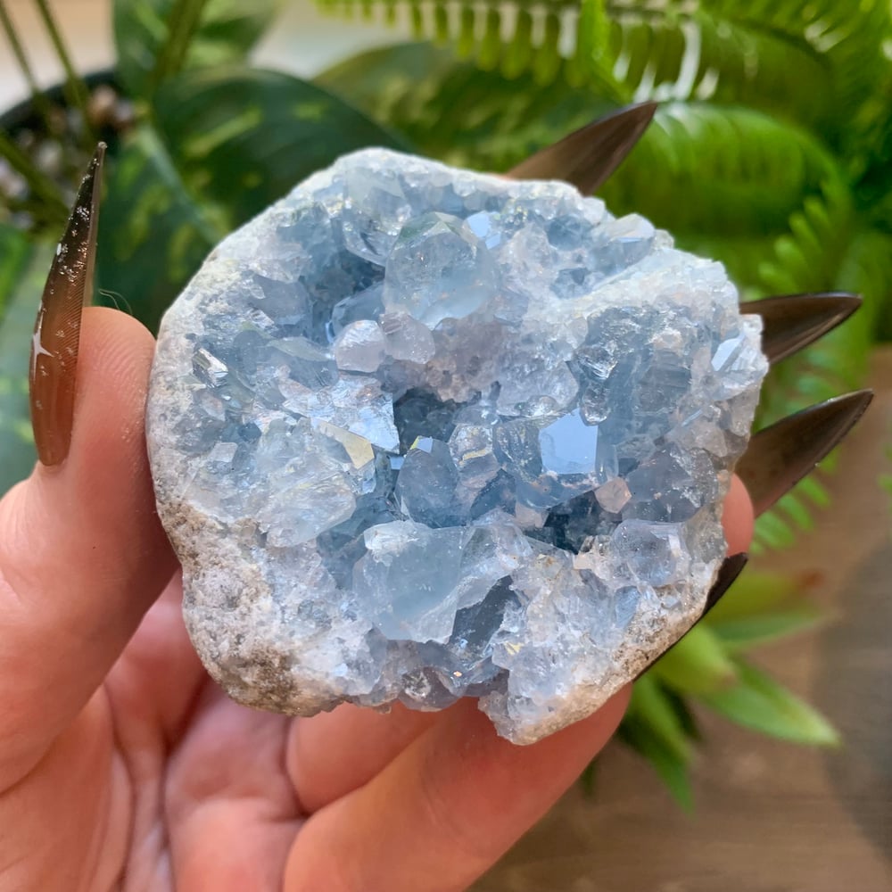 Celestite Clusters