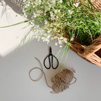 Image 2 of Petits ciseaux 