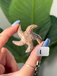Image 9 of CHOOSE YOUR OWN MINI SOAPSTONE STARFISH