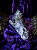 Grey Rainbow Aura Quartz & Carborundum- Coyote Skull