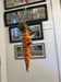 Image of Carrot Ornie 2