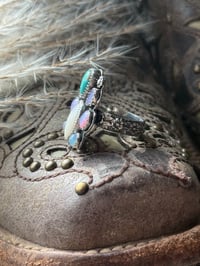 Image 2 of The Wildflower Divide