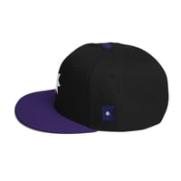 Image 2 of Minnesota Frost Fan Flag Ballcap