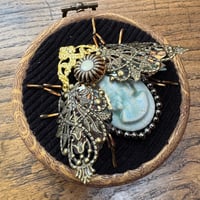 Image 1 of Cameo beetle (a, 3.5 inches)