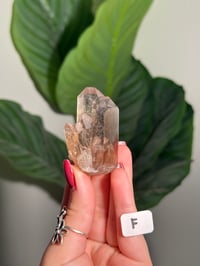 Image 7 of CHOOSE YOUR OWN NATURAL (UNPOLISHED) QUARTZ POINT -BRAZIL-