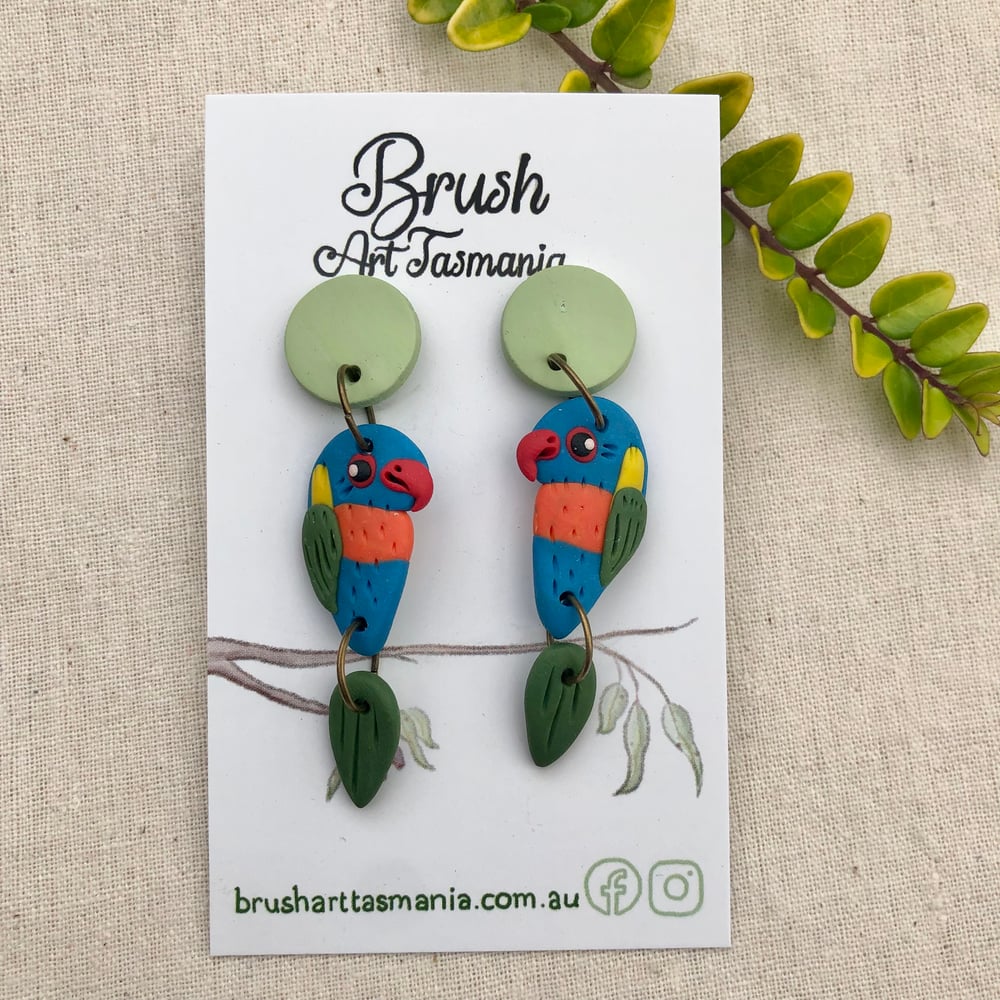 Rainbow Lorikeet Earrings