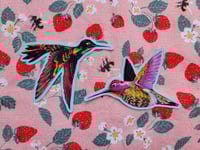 Image 1 of Hummingbirds Sticker Pack