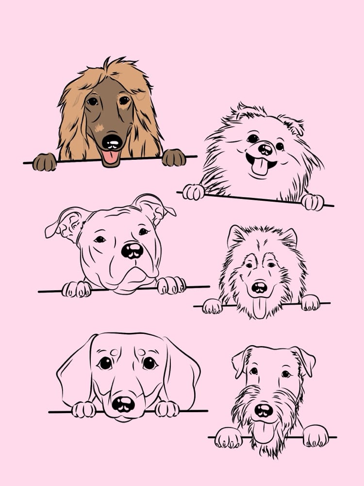 Image of custom pet portrait border tees/jumpe