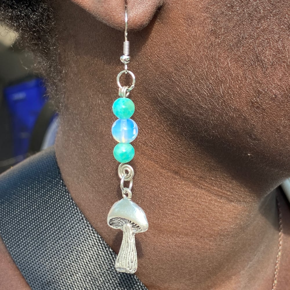 Image of crystal river earrings