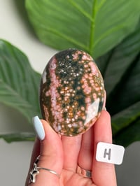 Image 8 of CHOOSE YOUR OWN PINK AND GREEN VEINLESS OCEAN JASPER PALM STONES -MADAGASCAR- 