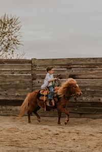 Image 1 of Horse Camp Deposit [NONREFUNDABLE]